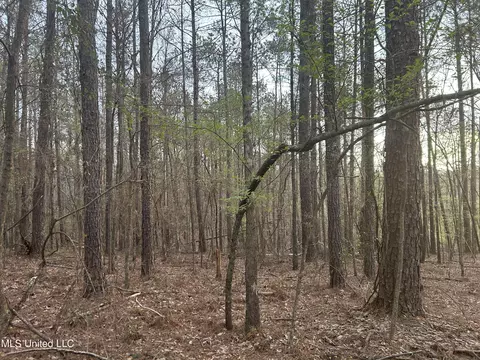 County Road 270, Union, MS 39365 photo 34