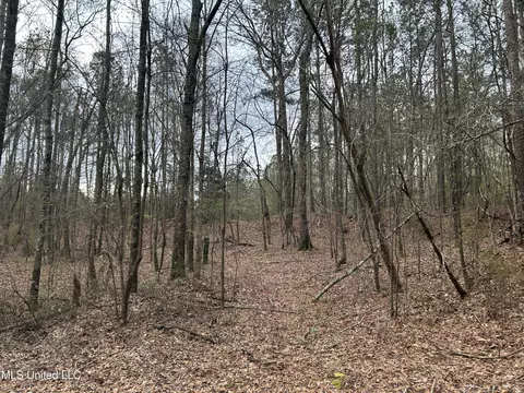 County Road 270, Union, MS 39365 photo 45