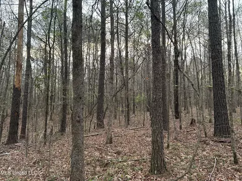 County Road 270, Union, MS 39365 photo 3