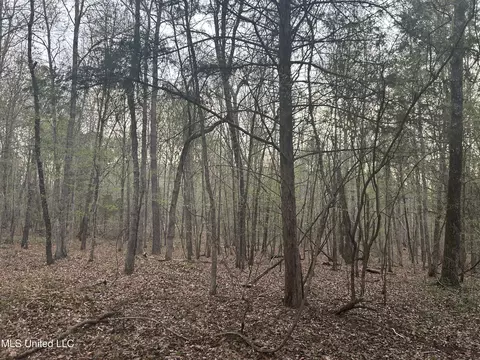 County Road 270, Union, MS 39365 photo 21