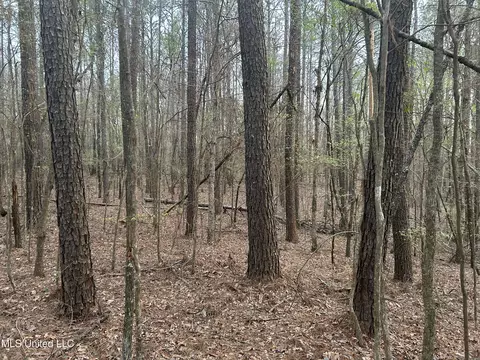County Road 270, Union, MS 39365 photo 35