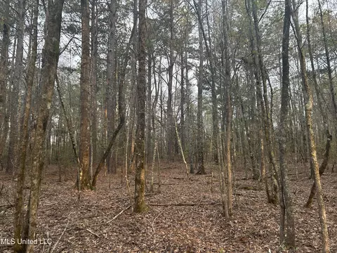 County Road 270, Union, MS 39365 photo 30