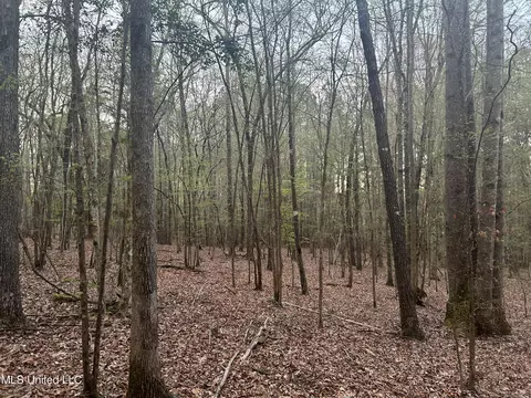County Road 270, Union, MS 39365 photo 20