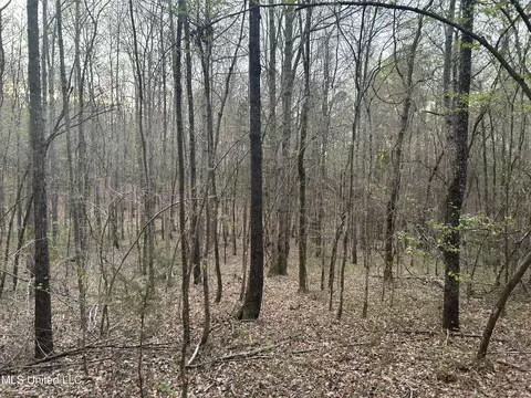 County Road 270, Union, MS 39365 photo 12