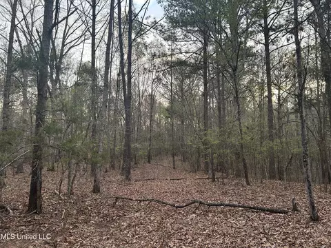 County Road 270, Union, MS 39365 photo 7