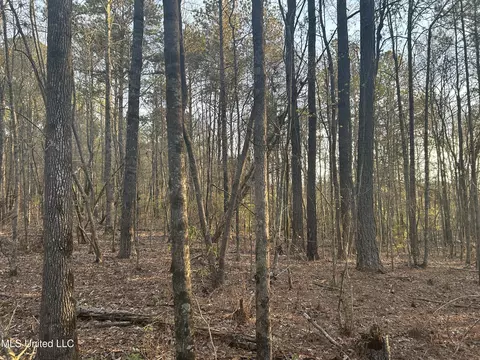 County Road 270, Union, MS 39365 photo 29