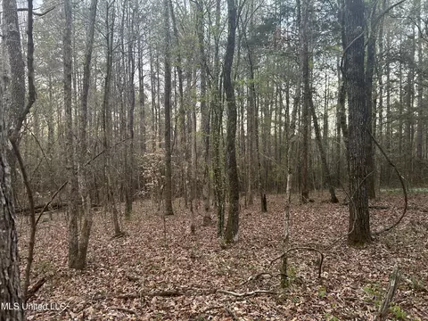 County Road 270, Union, MS 39365 photo 23