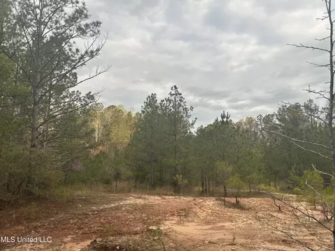County Road 270, Union, MS 39365 photo 40