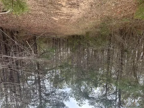 County Road 270, Union, MS 39365 photo 42