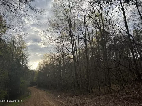 County Road 270, Union, MS 39365 photo 43
