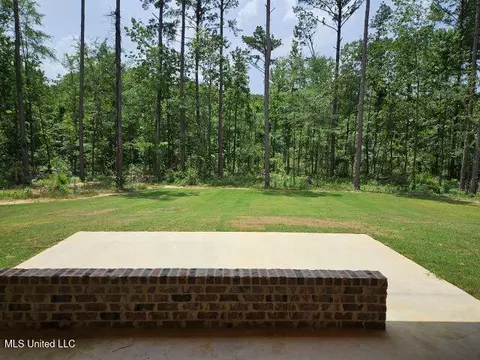 Exterior - 441 Barksdale Rd, Brandon, MS 39047 photo 3 of 3