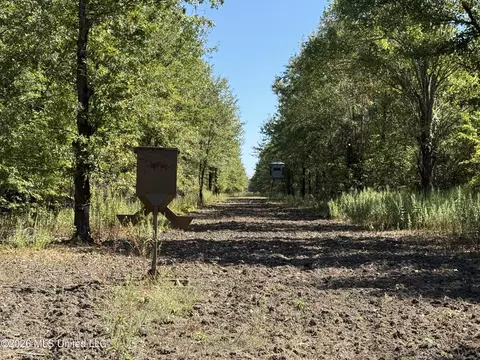 0 Priddy Rd, Rolling Fork, MS 39159
