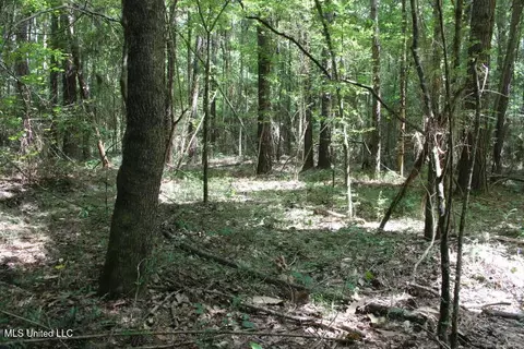 00 Pinola Braxton Rd, Braxton, MS 39044 photo 9