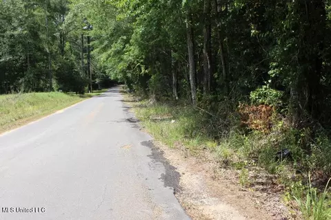 00 Pinola Braxton Rd, Braxton, MS 39044 photo 2