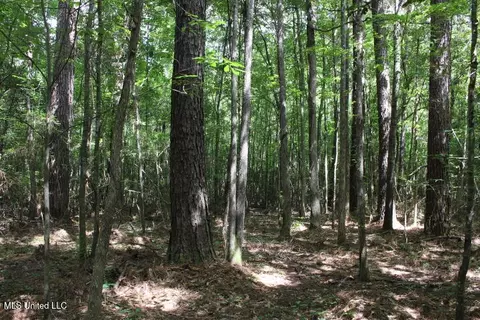 00 Pinola Braxton Rd, Braxton, MS 39044 photo 12