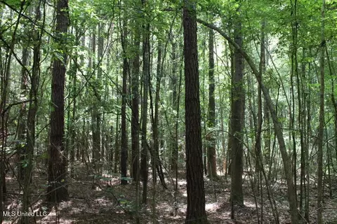 00 Pinola Braxton Rd, Braxton, MS 39044 photo 14