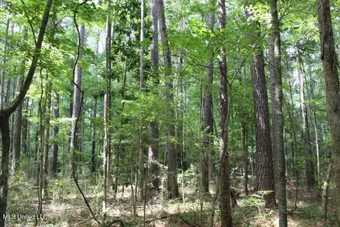 00 Pinola Braxton Rd, Braxton, MS 39044 photo 18