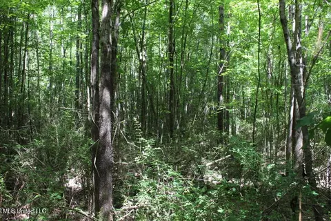 00 Pinola Braxton Rd, Braxton, MS 39044 photo 13