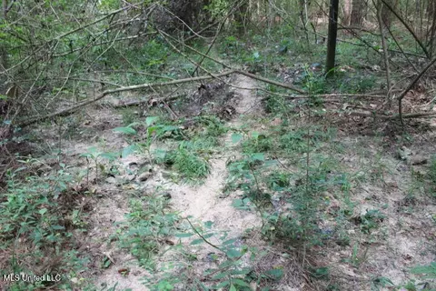 00 Pinola Braxton Rd, Braxton, MS 39044 photo 10