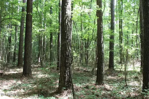 00 Pinola Braxton Rd, Braxton, MS 39044 photo 21