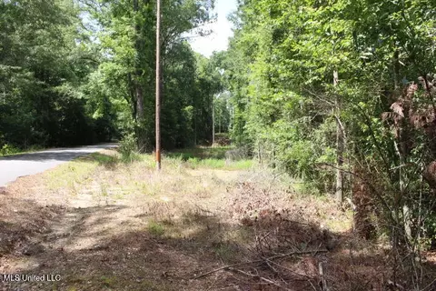00 Pinola Braxton Rd, Braxton, MS 39044 photo 3