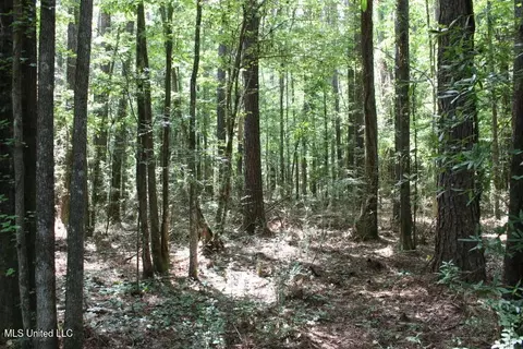 00 Pinola Braxton Rd, Braxton, MS 39044 photo 15