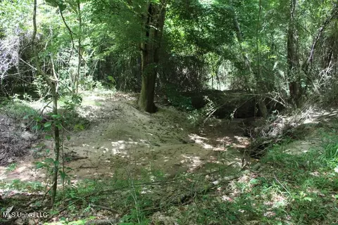 00 Pinola Braxton Rd, Braxton, MS 39044 photo 5