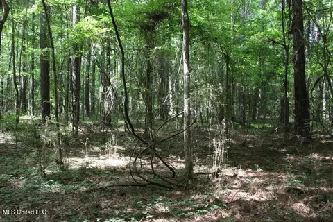 00 Pinola Braxton Rd, Braxton, MS 39044 photo 20