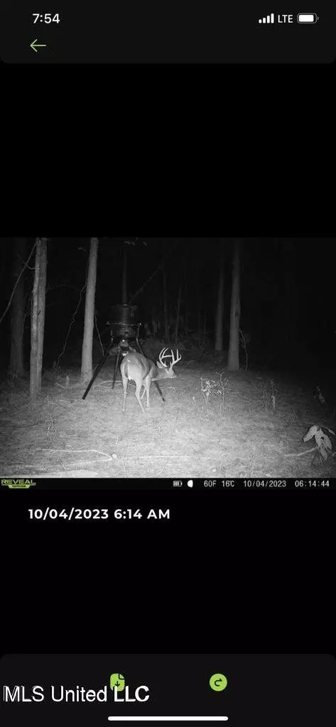00 Pinola Braxton Rd, Braxton, MS 39044 photo 26