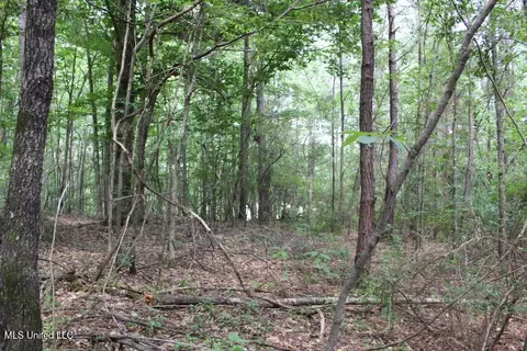 00 Pinola Braxton Rd, Braxton, MS 39044 photo 24