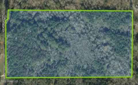 00 Pinola Braxton Rd, Braxton, MS 39044