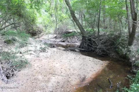 00 Pinola Braxton Rd, Braxton, MS 39044 photo 7