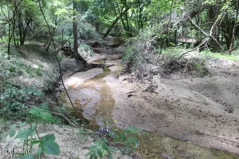 00 Pinola Braxton Rd, Braxton, MS 39044 photo 6