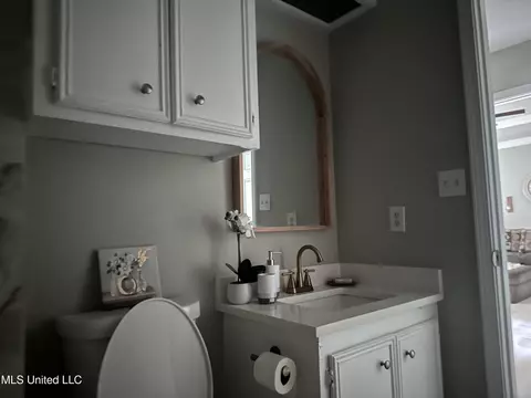 Bath - 104 Live Oak Ln, Brandon, MS 39047 photo 6 of 14