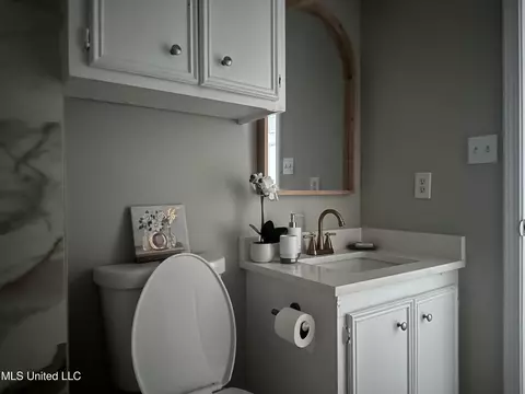 Bath - 104 Live Oak Ln, Brandon, MS 39047 photo 5 of 14