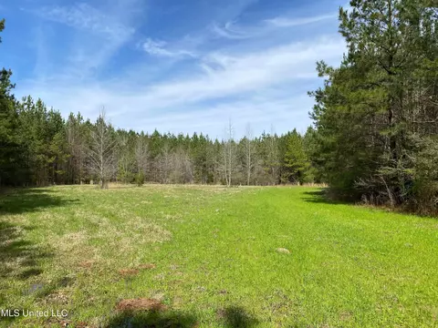 94 Acres Everett Rd, Hickory, MS 39332 photo 8