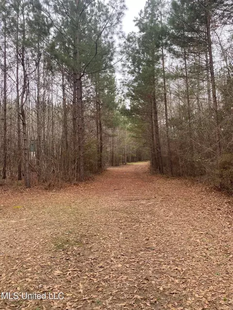 94 Acres Everett Rd, Hickory, MS 39332 photo 32