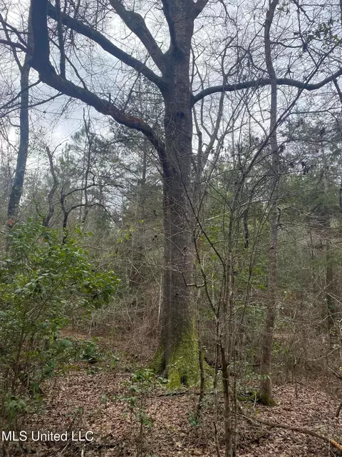 94 Acres Everett Rd, Hickory, MS 39332 photo 25