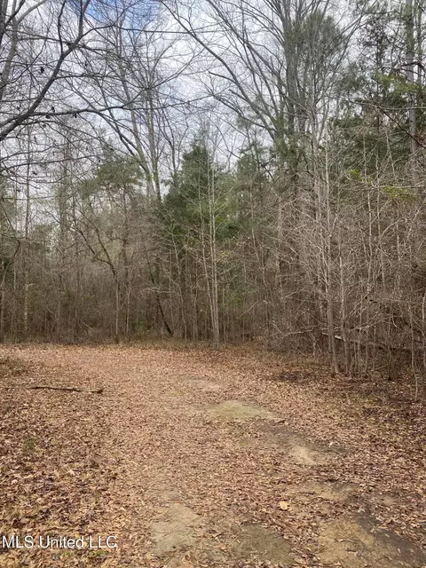 94 Acres Everett Rd, Hickory, MS 39332 photo 24