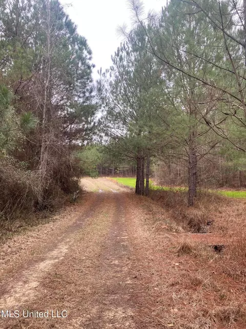 94 Acres Everett Rd, Hickory, MS 39332 photo 37