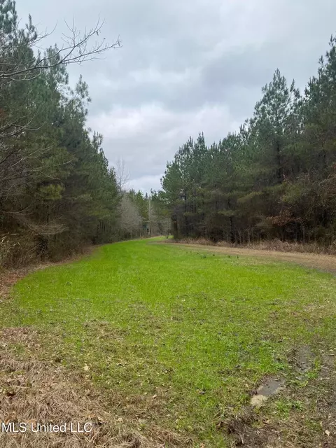 94 Acres Everett Rd, Hickory, MS 39332 photo 41