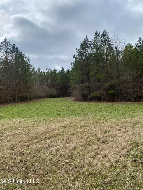 94 Acres Everett Rd, Hickory, MS 39332 photo 19