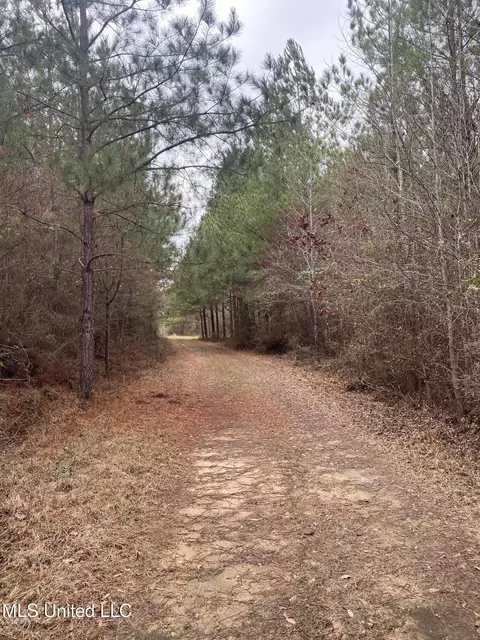 94 Acres Everett Rd, Hickory, MS 39332 photo 18