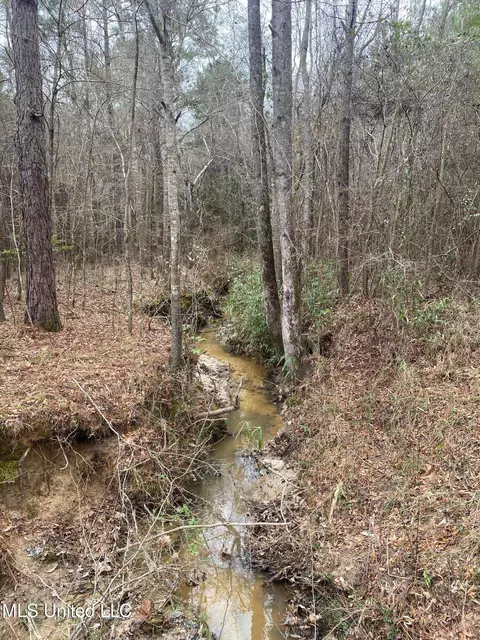94 Acres Everett Rd, Hickory, MS 39332 photo 28