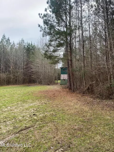 94 Acres Everett Rd, Hickory, MS 39332 photo 27