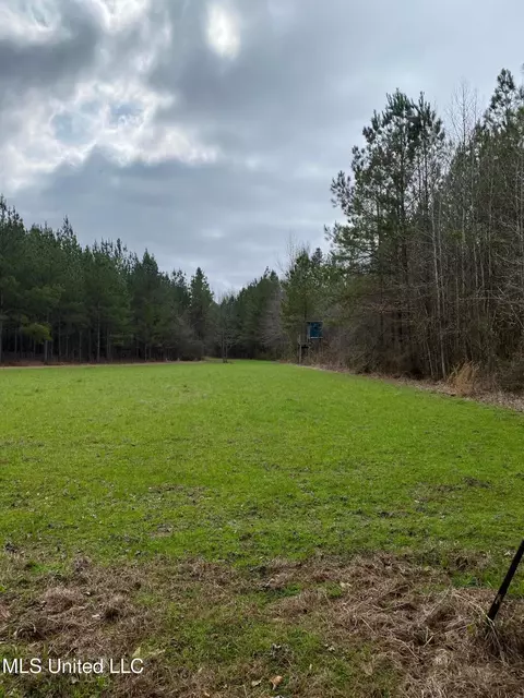 94 Acres Everett Rd, Hickory, MS 39332 photo 16