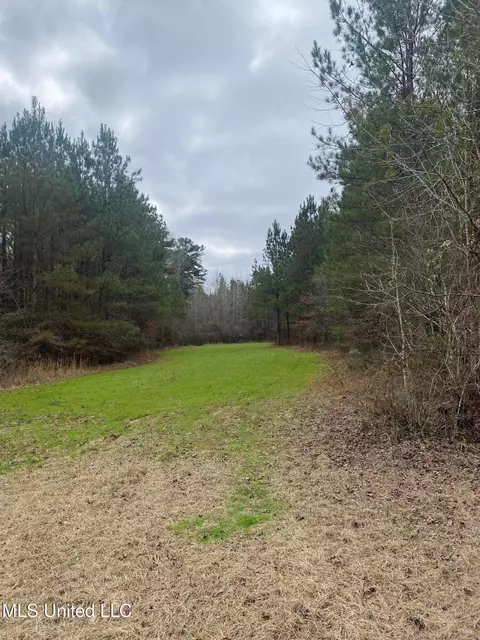 94 Acres Everett Rd, Hickory, MS 39332 photo 36