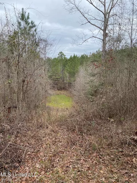 94 Acres Everett Rd, Hickory, MS 39332 photo 14