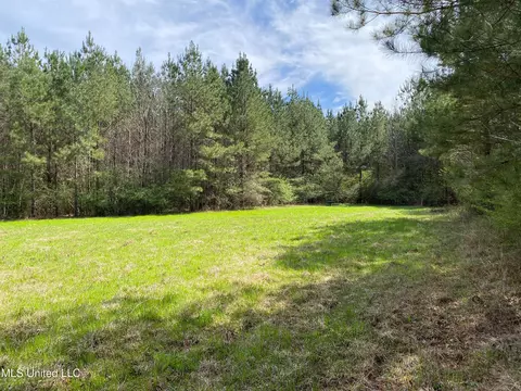 94 Acres Everett Rd, Hickory, MS 39332 photo 4