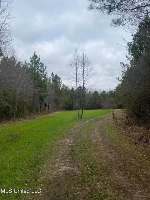 94 Acres Everett Rd, Hickory, MS 39332 photo 40